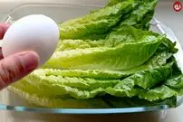 (ویدئو) نحوه پخت یک غذای آسان و ارزان با کاهو، سیب زمینی و تخم مرغ