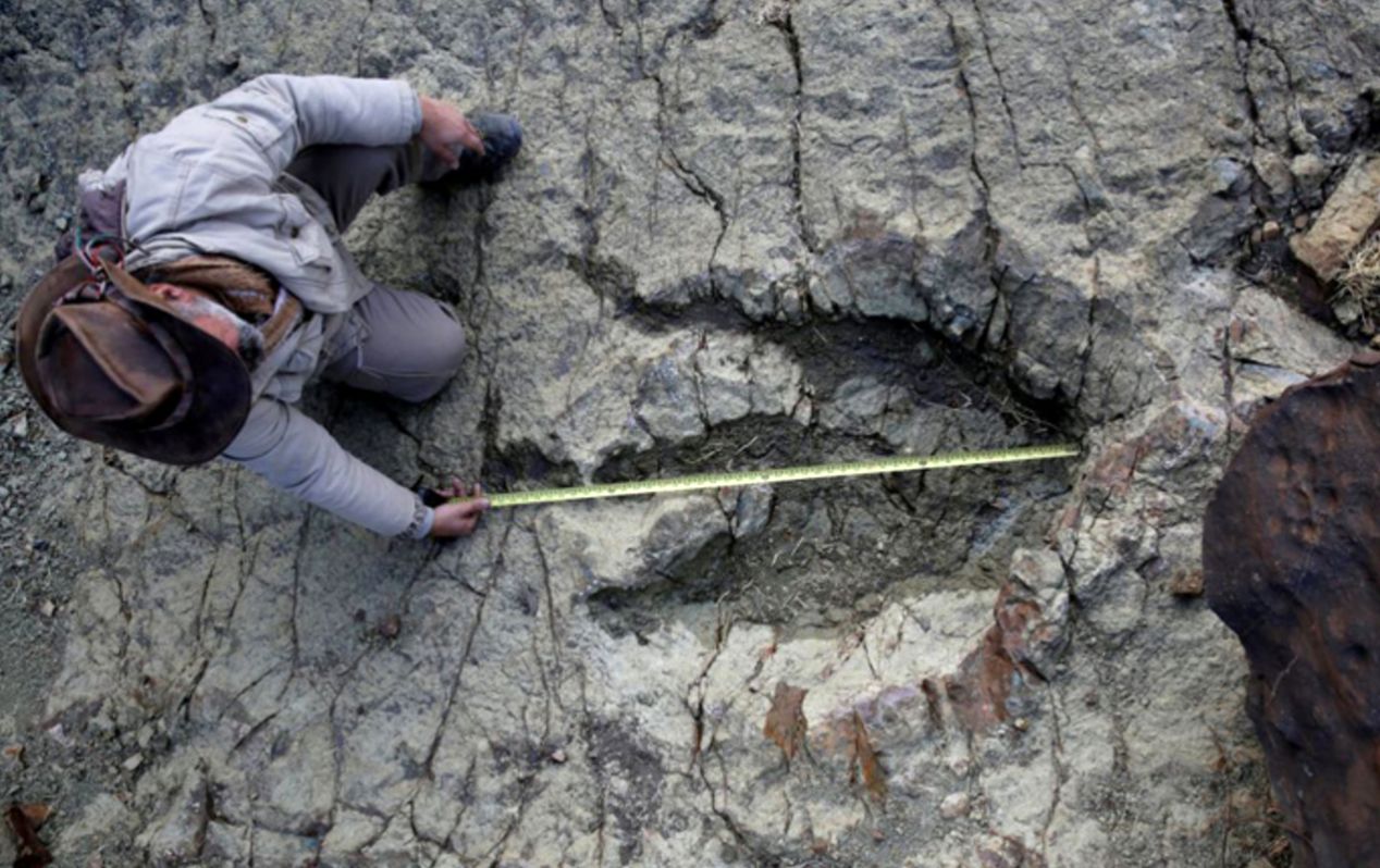  رد پای ۱۱۳ میلیون ساله دایناسور با خشکسالی بیرون زد!
