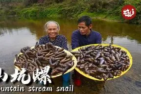 ببینید| غذای روستایی در چین؛ صید حلزون از رودخانه و پخت غذاهای سنتی با آن