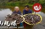 ببینید| غذای روستایی در چین؛ صید حلزون از رودخانه و پخت غذاهای سنتی با آن