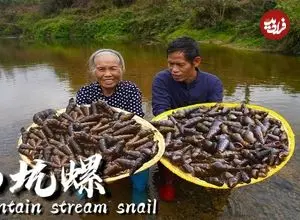 ببینید| غذای روستایی در چین؛ صید حلزون از رودخانه و پخت غذاهای سنتی با آن