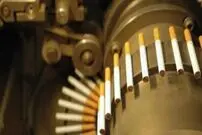 (ویدئو) عملیات برداشت تنباکو؛ تا به حال نحوه ساخت سیگار معمولی و برگ را دیده بودید؟