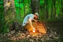 ببینید| فرآیند ساخت یک پناهگاه مخفی بین دو درخت بلوط در اعماق یک جنگل در اوکراین