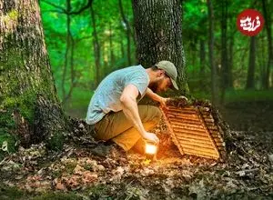 ببینید| فرآیند ساخت یک پناهگاه مخفی بین دو درخت بلوط در اعماق یک جنگل در اوکراین