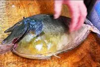 ببینید| غذای خیابانی در ژاپن؛ تهیه ساشیمی و کباب با تک شاخ ماهی در اوکیناوا