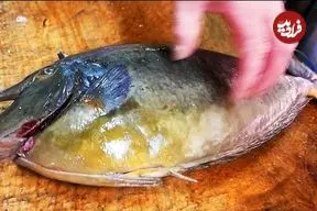 ببینید| غذای خیابانی در ژاپن؛ تهیه ساشیمی و کباب با تک شاخ ماهی در اوکیناوا