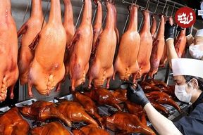 ببینید| غذای خیابانی در کره؛ تهیه خوراک مرغابی شکم پر باستانی در بوسان