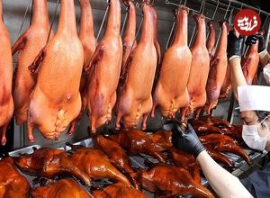 ببینید| غذای خیابانی در کره؛ تهیه خوراک مرغابی شکم پر باستانی در بوسان