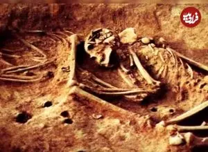 تصویری نادر از سیستم عصبی کامل انسان مربوط به ۱۳۸ سال پیش