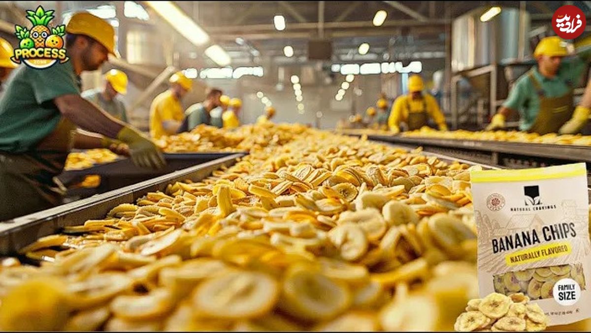 (ویدئو) مراحل فرآوری صدها تن موز برای تولید چیپس در پاکستان