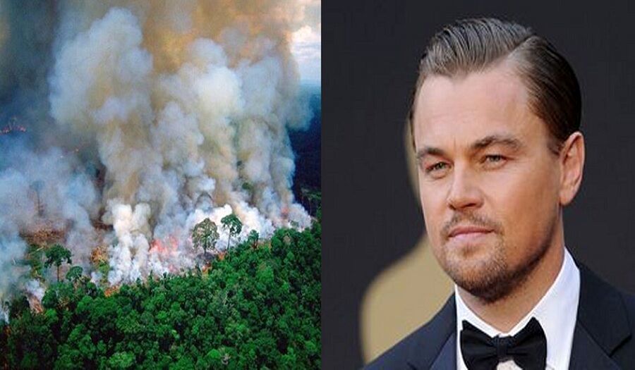 "لئوناردو دی‌کاپریو" پول داده جنگل‌های آمازون را آتش بزنند؟!