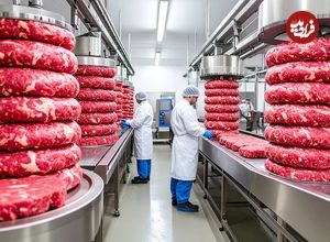 ببینید؛ مراحل دیدنی تولید سوسیس و گوشت گیاهی در یک کارخانه مدرن 