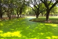 معمای توهم نوری؛ فقط نابغه‌ها قورباغه پنهان در این تصویر را در ۱۰ ثانیه پیدا می‌کنند!