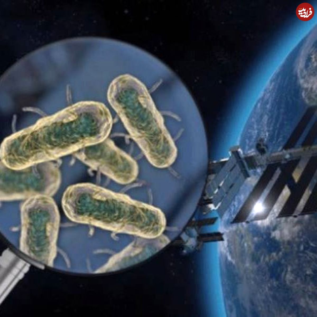 آیا میکروب‌ها از فضا به زمین می‌آیند؟