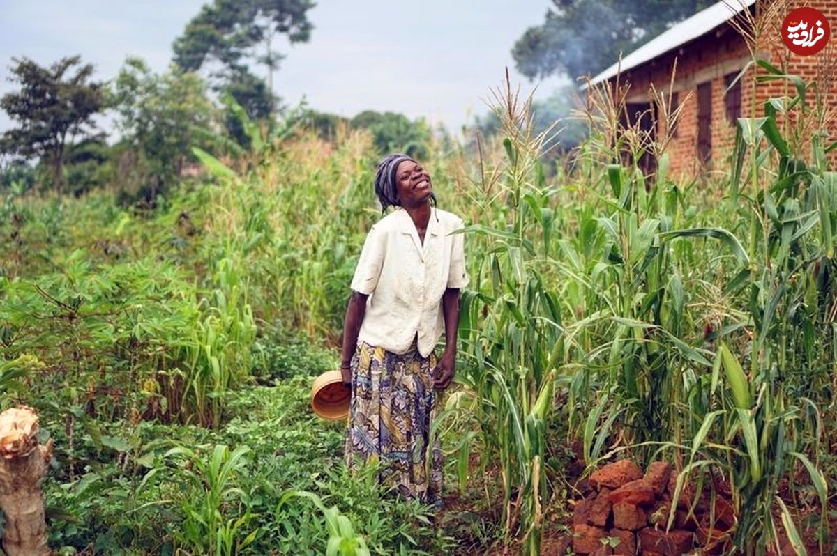 تصویر/ لبخند زن اوگاندایی در عکس روز نشنال جئوگرافیک