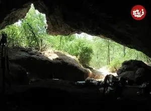 رخداد عجیبی که 65 هزارسال قبل در میان «نئاندرتال‌ها» اتفاق افتاد