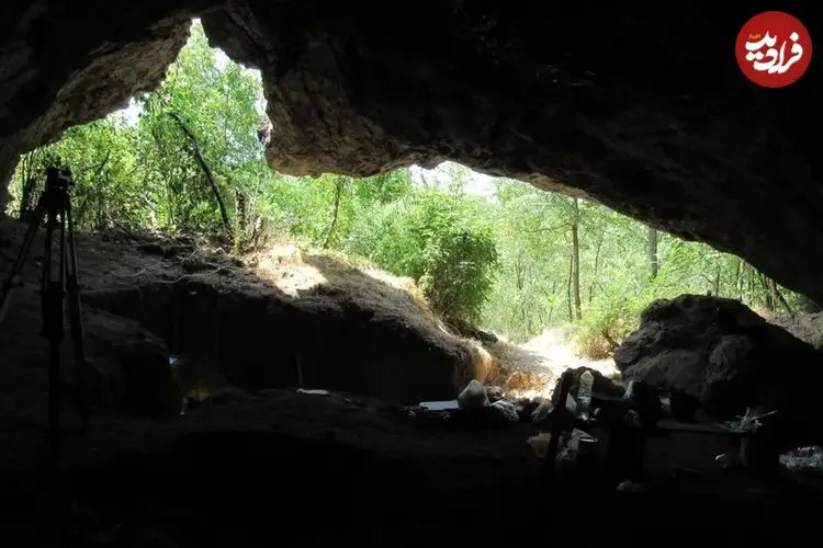 رخداد عجیبی که 65 هزارسال قبل در میان «نئاندرتال‌ها» اتفاق افتاد