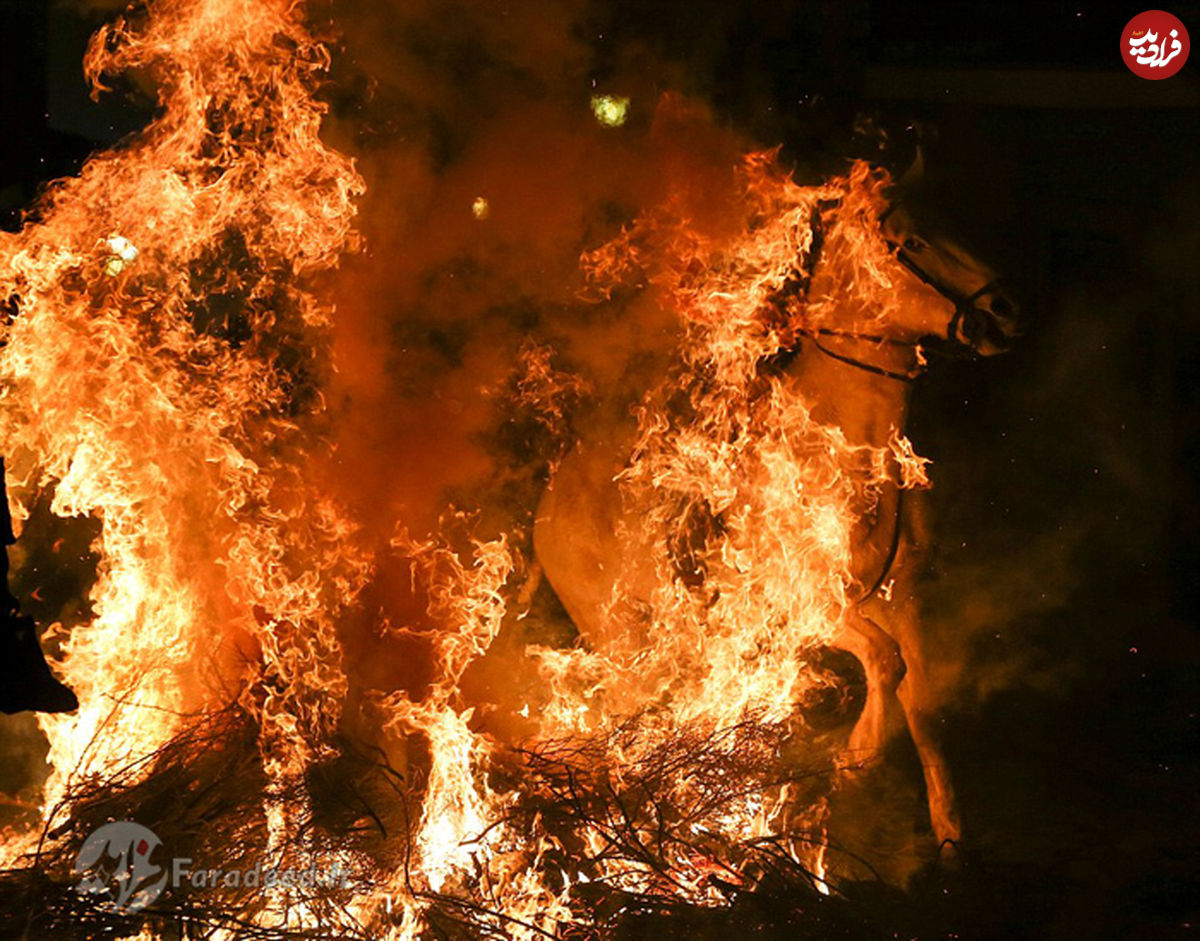 تصاویر/ جدال اسب با آتش برای تطهیر