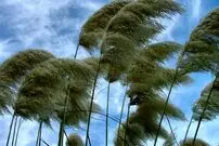 هواشناسی ایران، امروز ۱۴۰۱/۰۳/۲۵