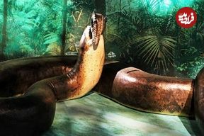 عکس؛ سر برآوردن مار ۹۰۰ کیلویی از خاک!