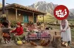 ببینید| غذای روستایی در ایران؛ پخت قابلی پلو محبوب افغان ها با مرغ در طبیعت گیلان