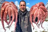 (ویدئو) ببینید این آشپز روستایی آذربایجانی با چه مهارتی هشت پا طبخ می کند