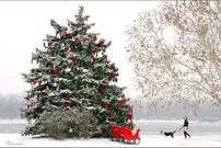 آمریکایی‌ها در برف