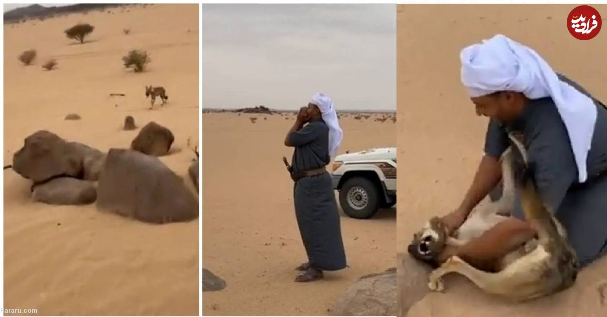 (ویدئو) دوستی شگفت انگیز مرد عرب با یک گرگ