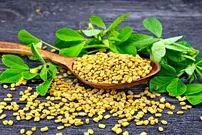 گیاهی برای پیشگیری از موخوره و ریزش مو