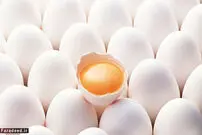 بنزین نخریم یا تخم‌مرغ؟!