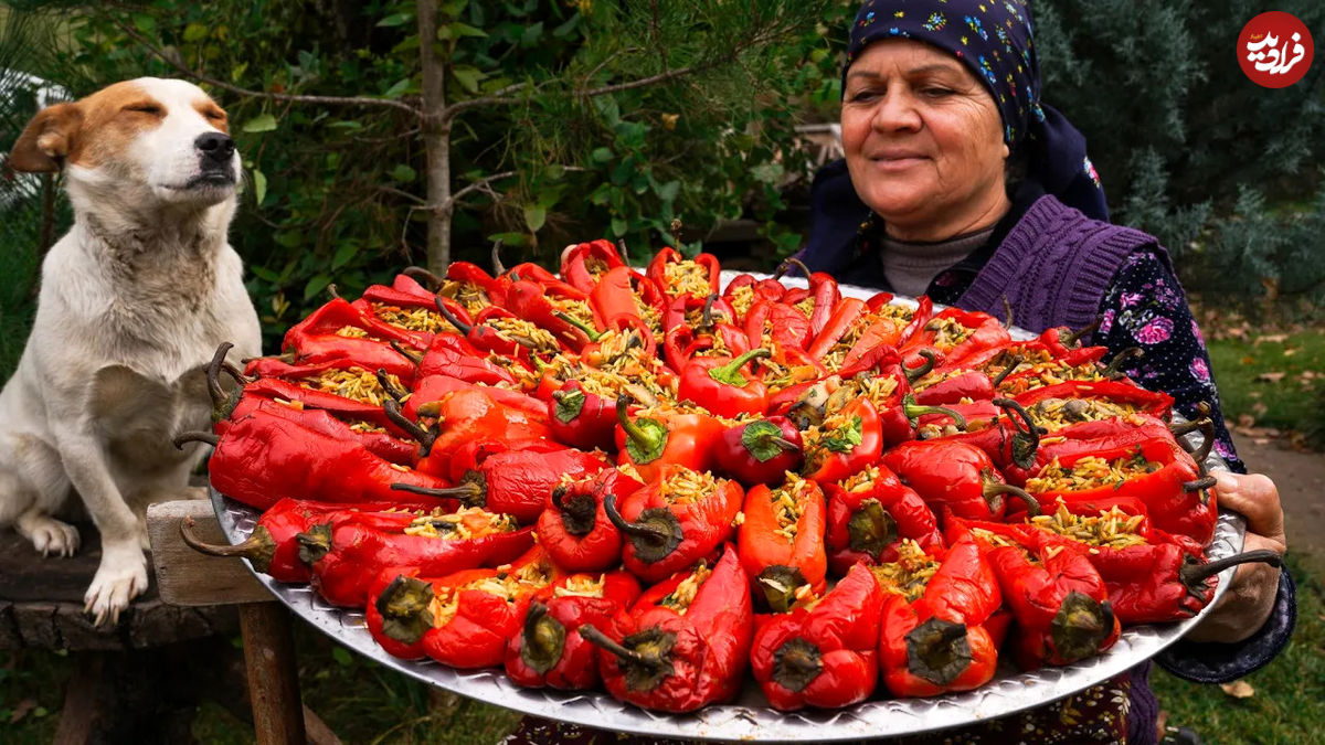 (ویدئو) غذای روستایی در آذربایجان؛ پخت دلمه فلفل دلمه ای به روشی جدید