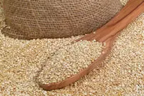 ۶ غذا برای پوست و تعادل هورمون‌ها