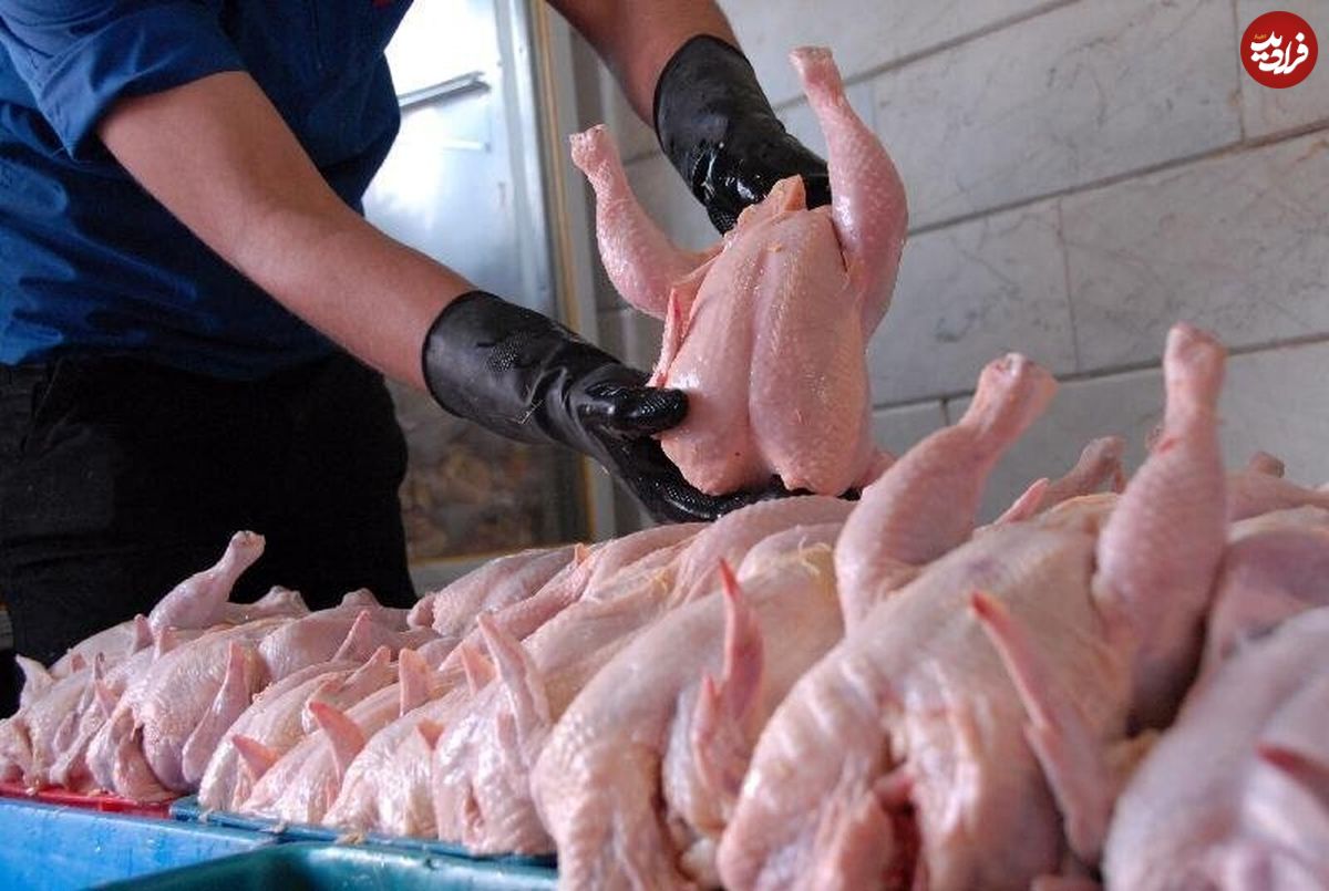 علت افزایش قیمت گوشت مرغ در بازار