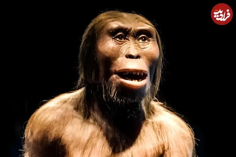 کشف غریبه‌های باستانی و تنوع زیستی در ۳ تا ۴ میلیون سال پیش