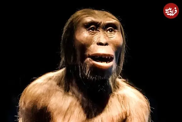 کشف غریبه‌های باستانی و تنوع زیستی در ۳ تا ۴ میلیون سال پیش