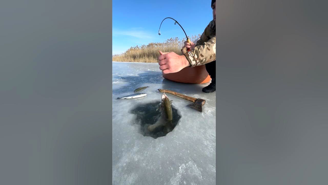 (ویدئو) مهارت ماهیگیر اوکراینی در صید ماهی قزل آلا در زیر دریاچه یخ زده
