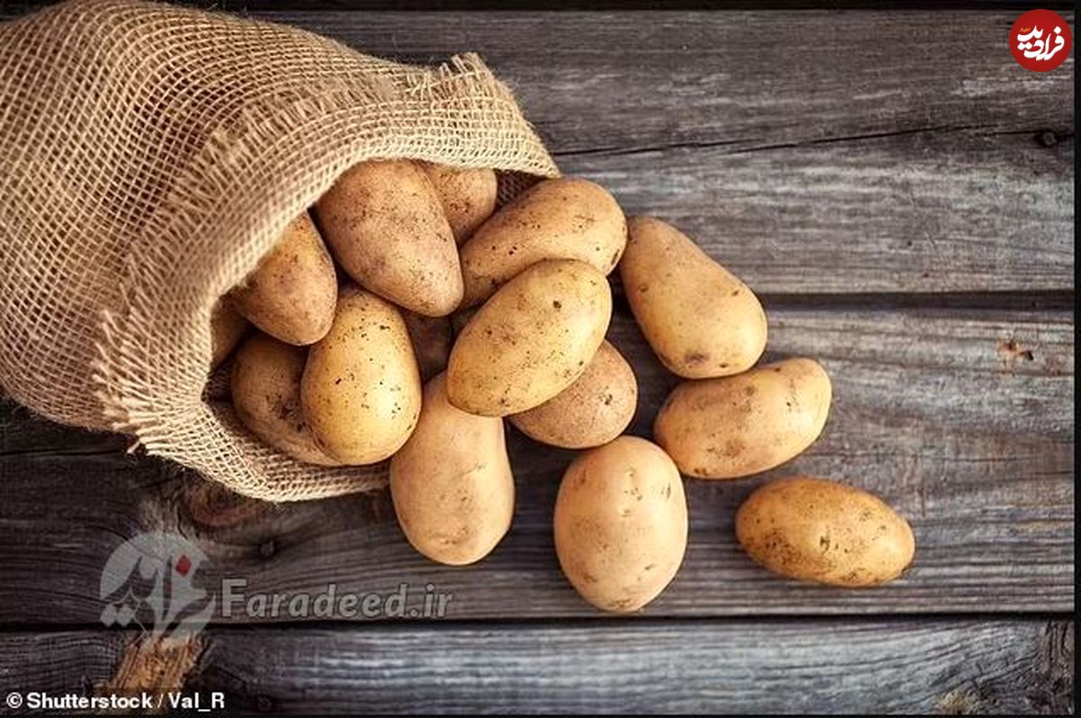 شیرسیبزمینی؛ جدیدترین شیرِ گیاهی در جهان