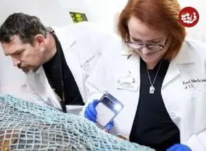 دو کشیش مصری پس از دو هزار سال با اسکن سه‌بعدی زنده شدند!