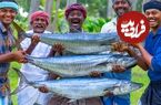 ببینید؛ غذای روستایی در هند؛ کباب کردن ماهی ماکرل اسپانیایی در طبیعت