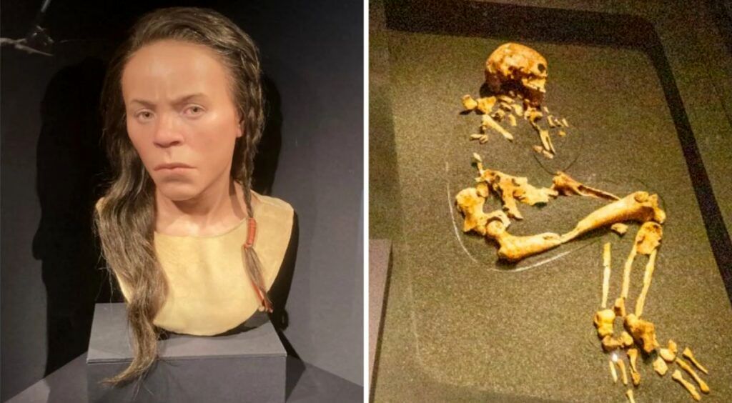 ( تصاویر) بازسازی چهره یک زن اسکاتلندی عصر برنز که در یک قبر ۴,۲۰۰ ساله کشف شد 