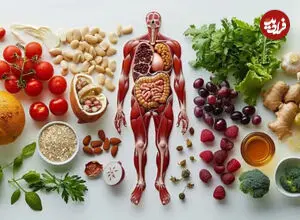 10 خوراکی برای 10 بخش بدن