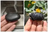 ببینید| فرآیند دیدنی ساخت مجسمه لاک پشت با یک تکه سنگ سیاه