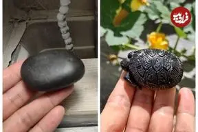 ببینید| فرآیند دیدنی ساخت مجسمه لاک پشت با یک تکه سنگ سیاه
