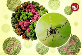 شیوع یک بیماری جدید در چین؛ از بیماری «خمیده راه رفتن» چه می‌دانیم؟