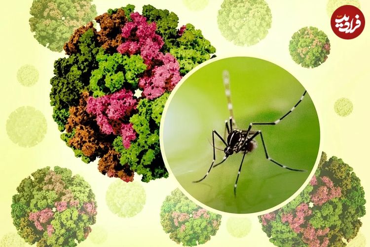 شیوع یک بیماری جدید در چین؛ از بیماری «خمیده راه رفتن» چه می‌دانیم؟