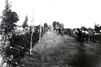 عکس| سفر به تاریخ؛ عکس یادگاری «دیوهای شهر ساری» در زمان قاجار