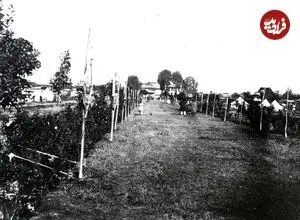 عکس| سفر به تاریخ؛ عکس یادگاری «دیوهای شهر ساری» در زمان قاجار