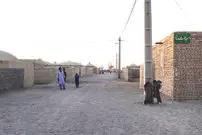 هراسِ سگ‌های هار در سیستان