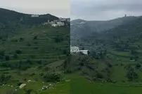 (ویدئو) نمایی از مکه که تا به حال ندیده‌اید؛ سبز شدن شگفت‌انگیز بیابان‌های شهر مکه