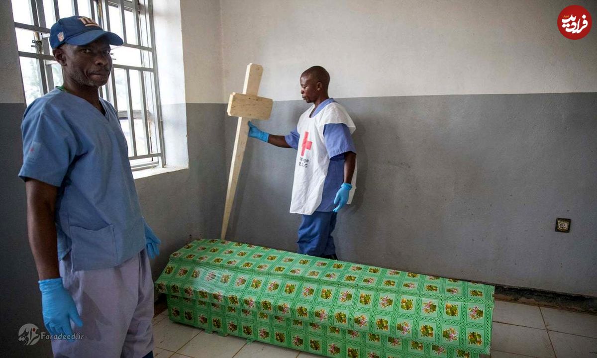 تصاویر/ بزرگترین و طولانی‌ترین شیوع ایبولا